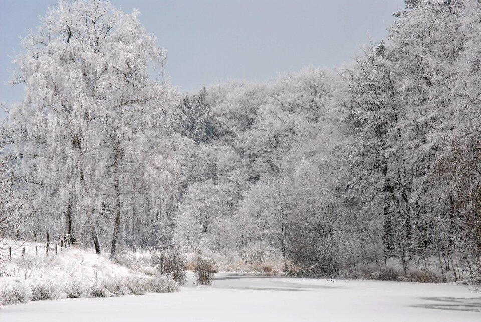 Romantic mood wintry photo