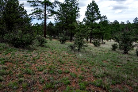 Sawmill Canyon