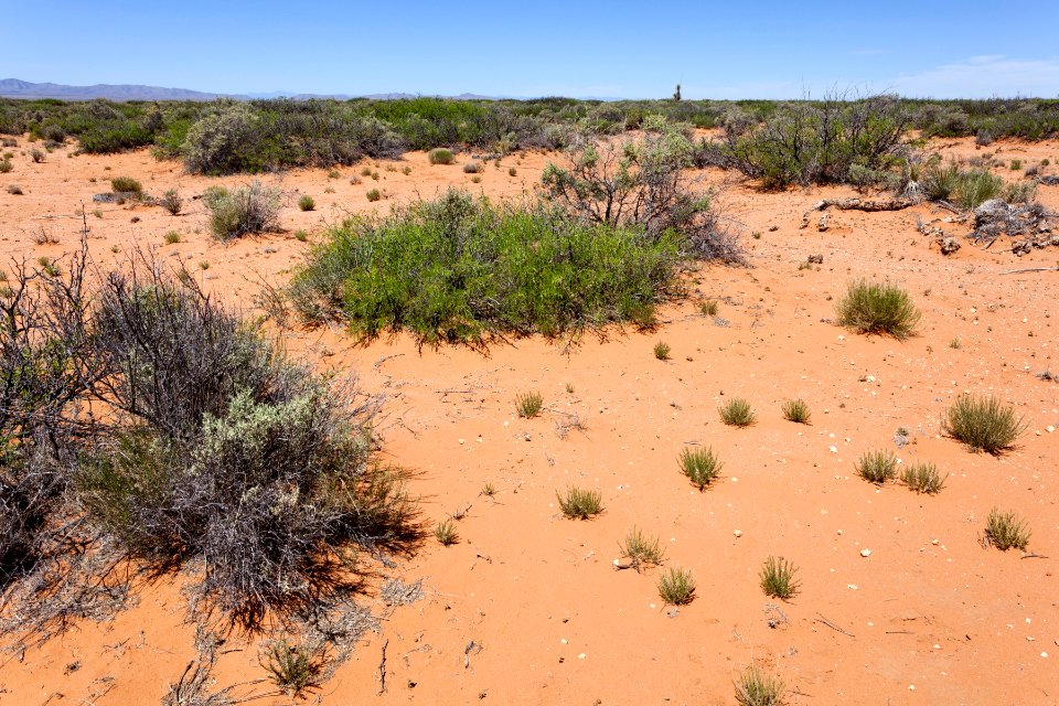 East of Jornada Lakes