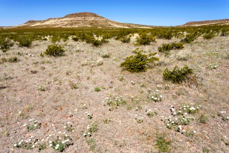 Near Apache Flats