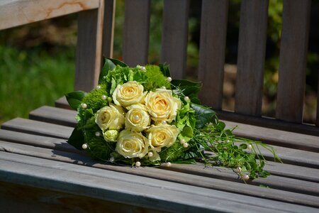 Violin bridal bouquet Free photos