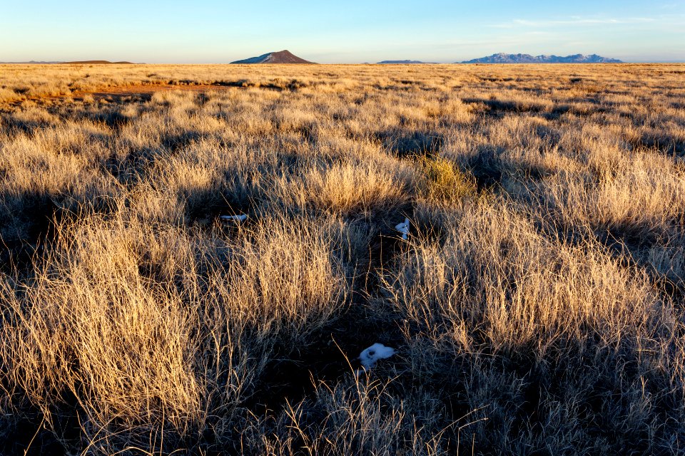 Near Jones Spring Draw