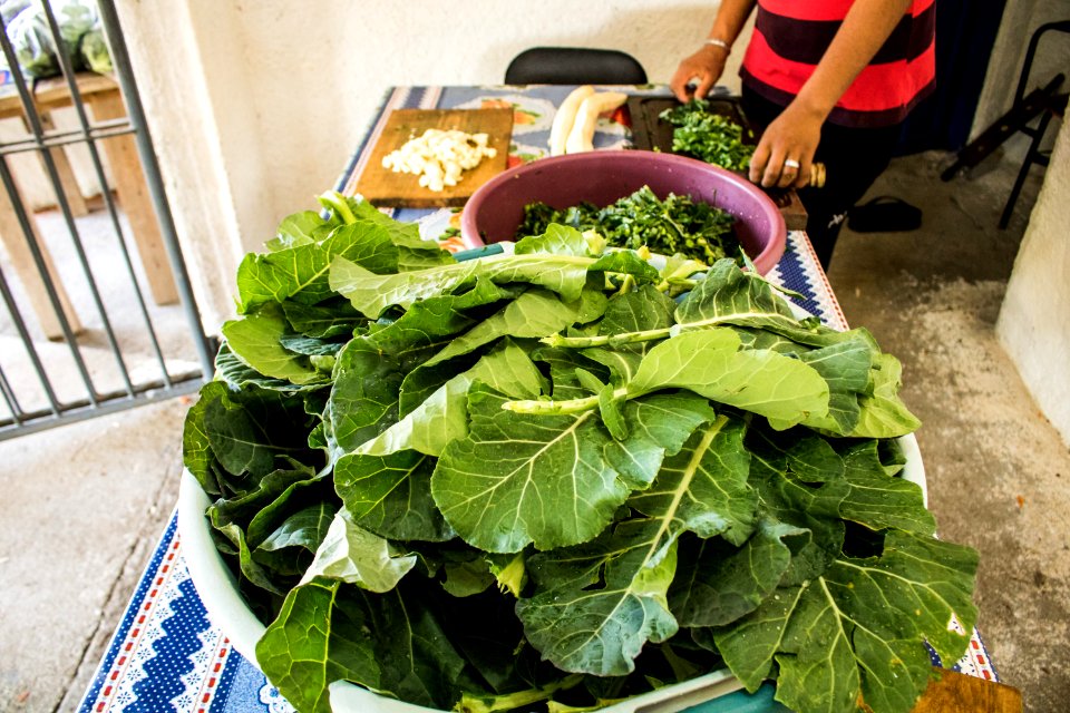 07.08.2019 - Início do turno integral na Emef Maria Joaquina - Foto Michel Corvello