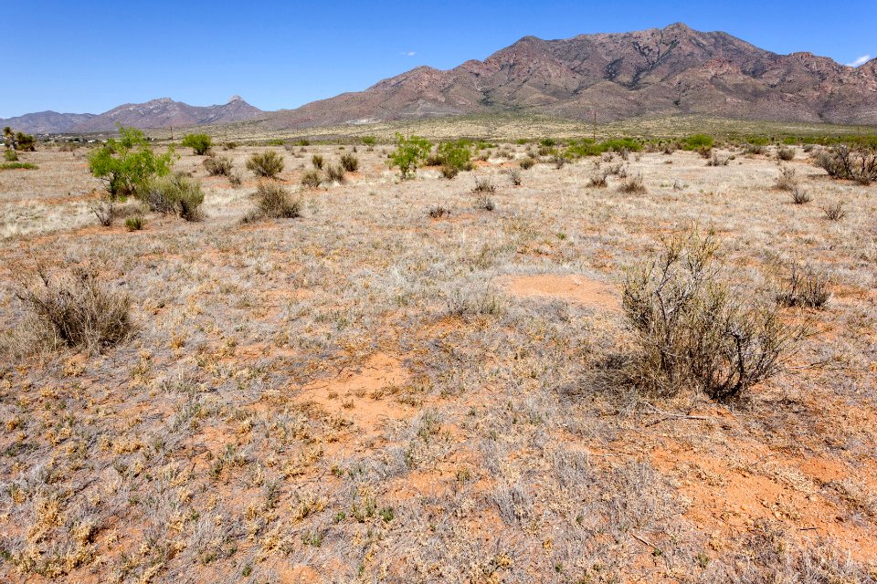 Northwestern bajada of the Organ Mountains