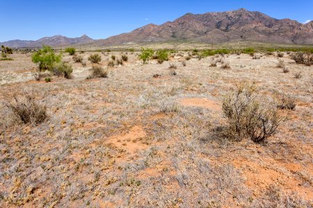 Northwestern bajada of the Organ Mountains