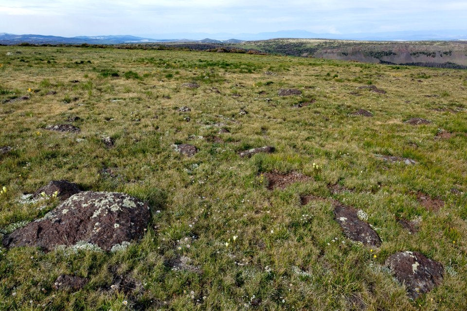 Continental Divide Trail
