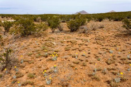 South of the Big Burro Mountains
