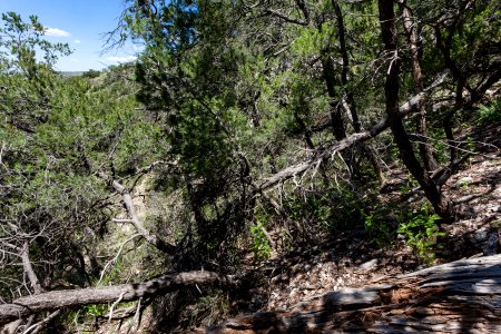 Near Martinez Canyon