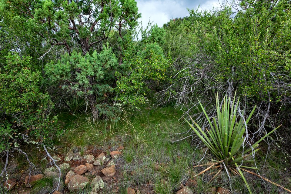 Near the Continental Divide Trail