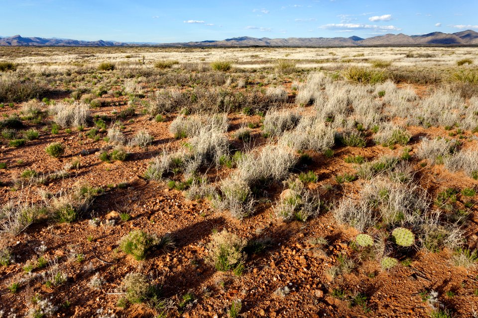 Northeastern edge of Lordsburg Mesa