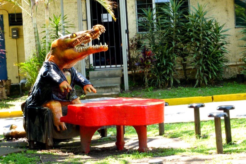 Un cocodrilo pianista en la Universidad de Costa Rica