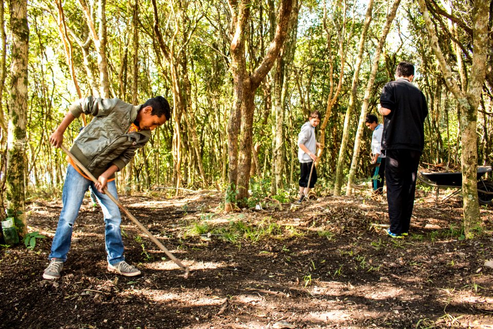 07.08.2019 - Início do turno integral na Emef Maria Joaquina - Foto Michel Corvello
