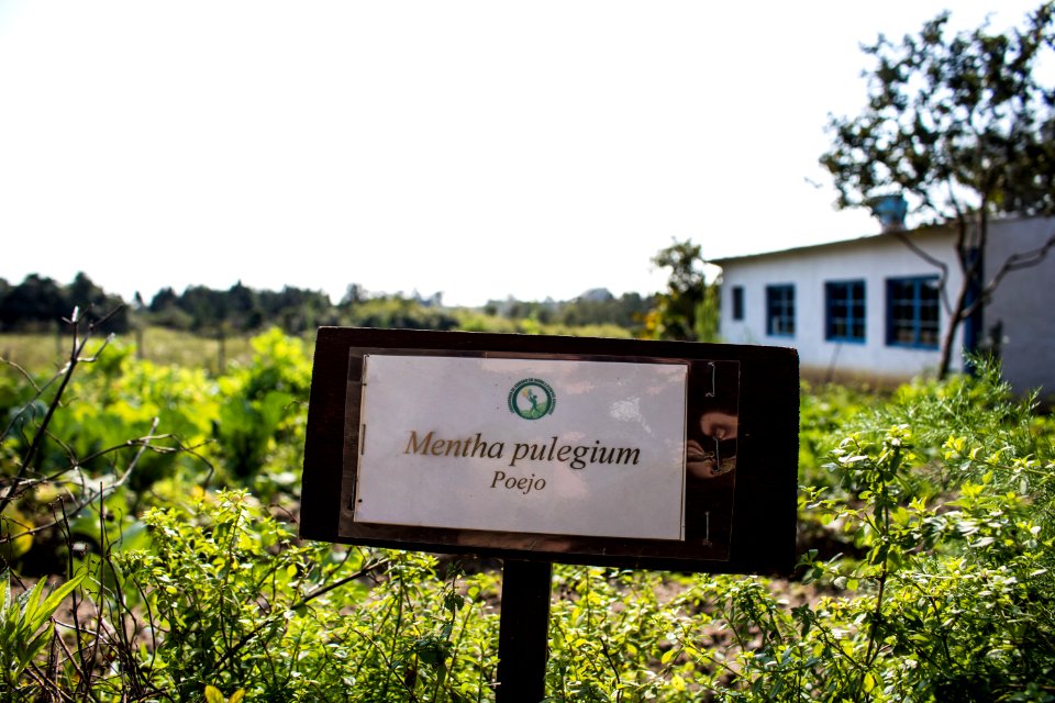 07.08.2019 - Início do turno integral na Emef Maria Joaquina - Foto Michel Corvello