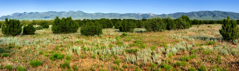 East of the Manzano Mountains