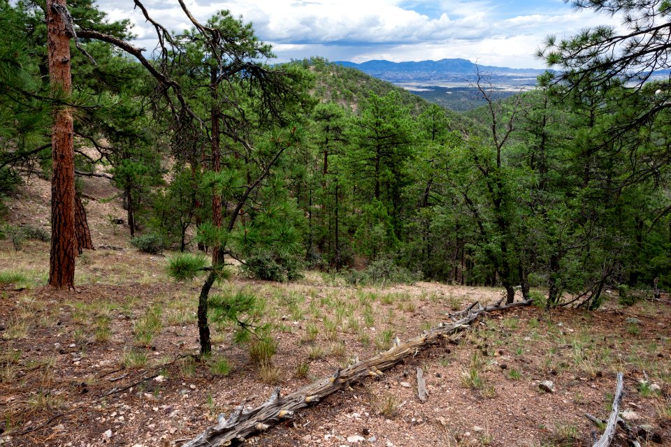 Continental Divide Trail