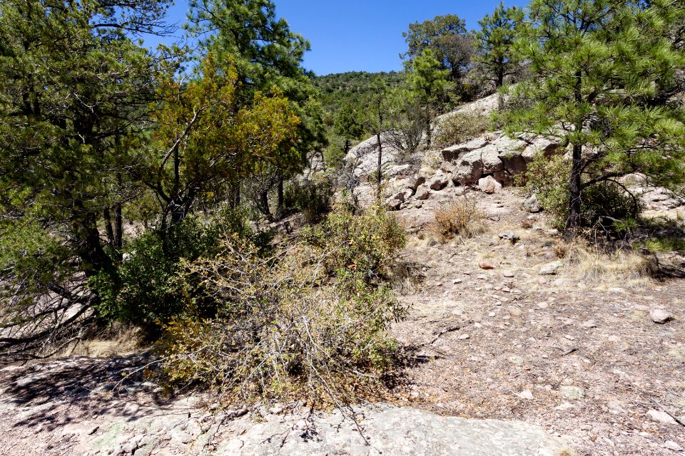 Pinos Altos Mountains
