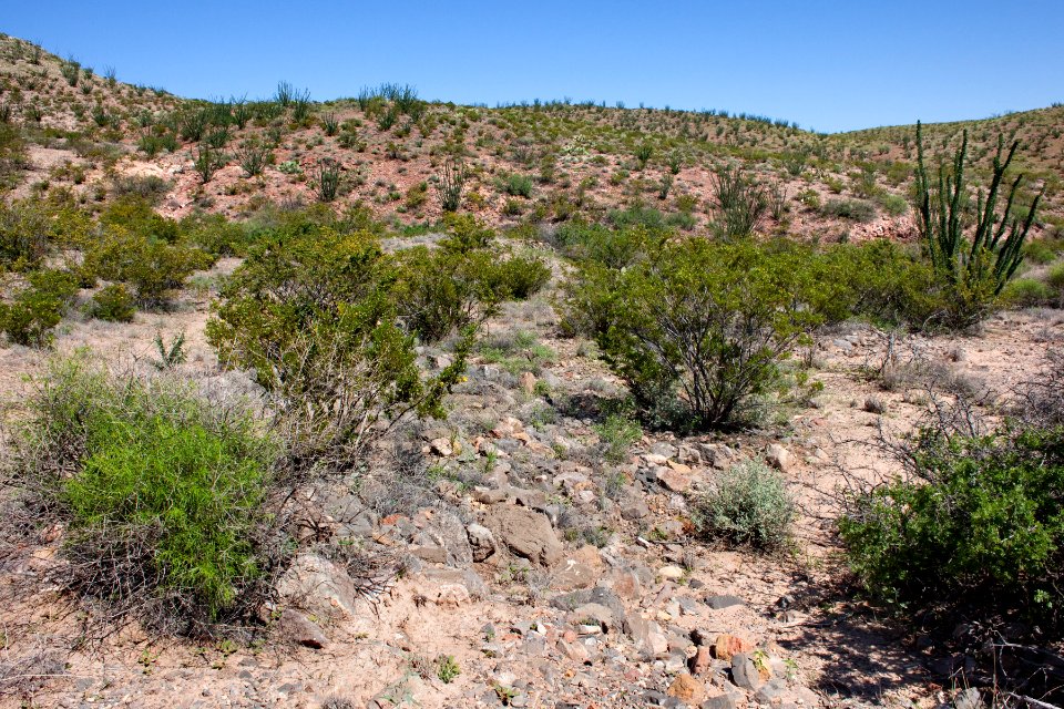 Fra Cristobal Range