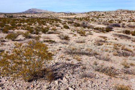 Southwest of Redrock