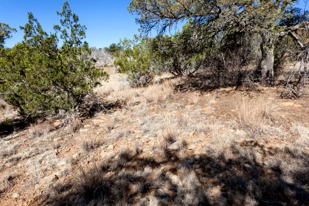 Fort Stanton