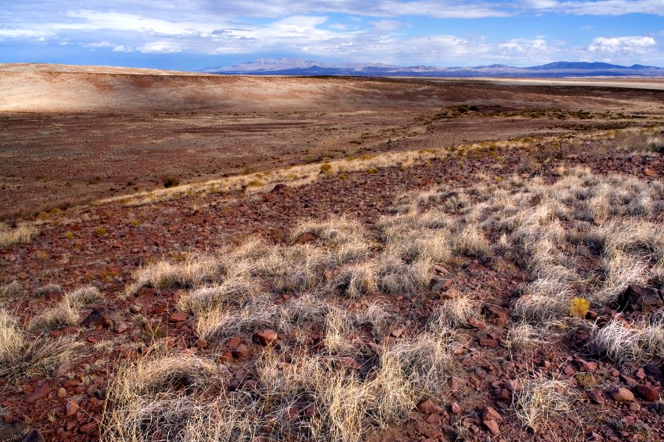 Northeastern edge of the Good Sight Mountains