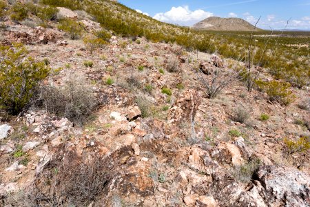 Southeastern Victorio Mountains