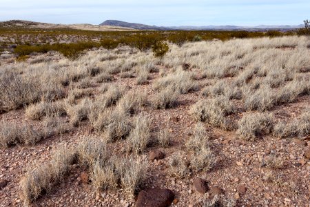 Southwest of Redrock