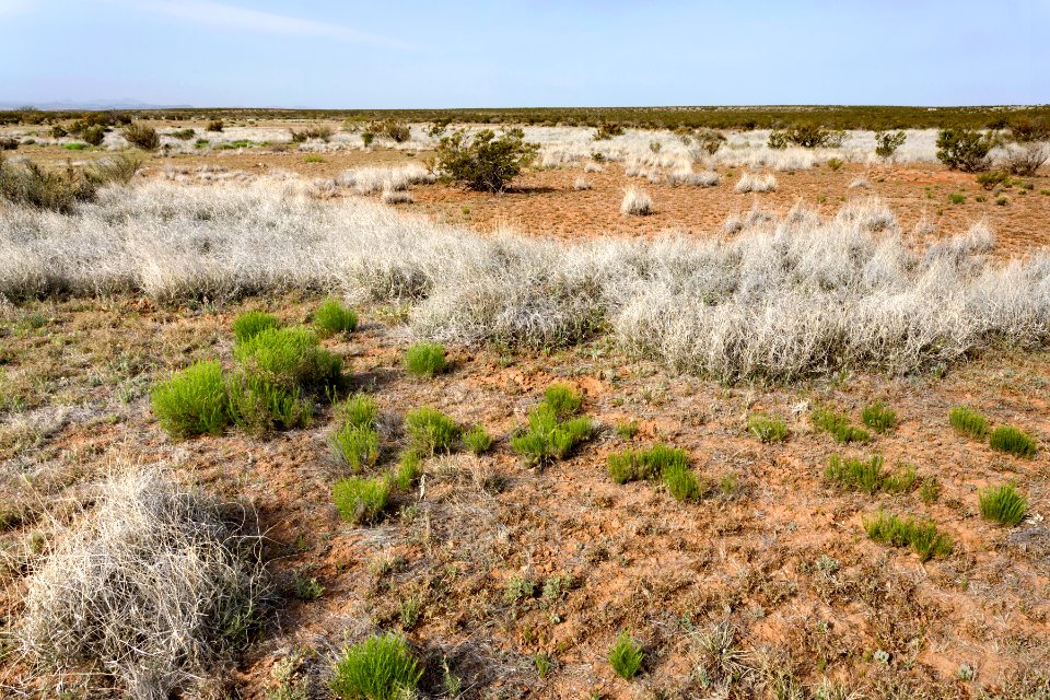 South of the Big Burro Mountains