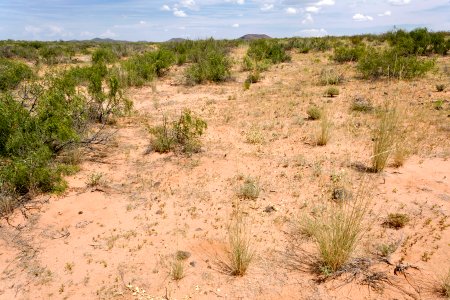 East of Camel Mountain