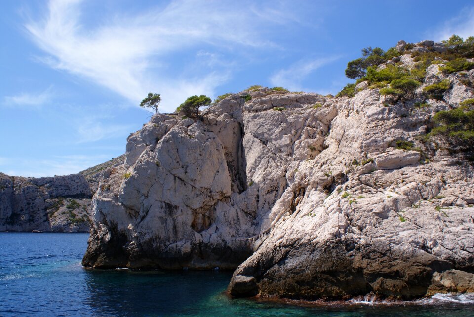Mediterranean sea creek tree