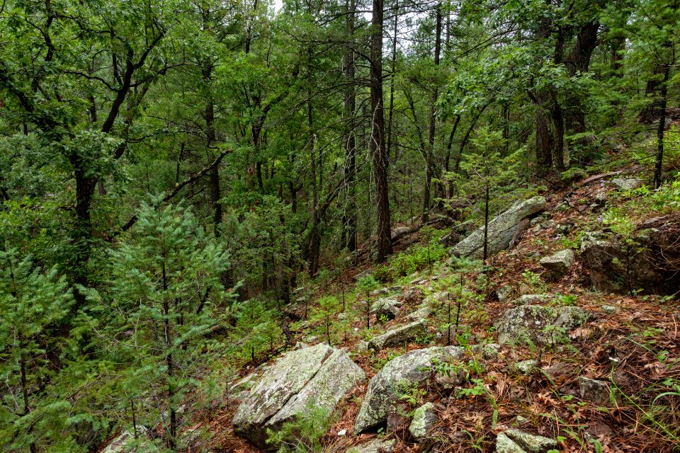 Near Little Cherry Creek