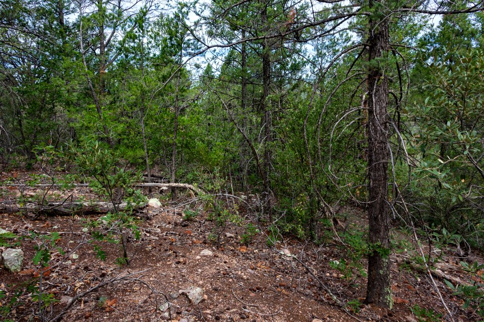 Near the Continental Divide Trail