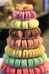 Bakery macaroons dessert