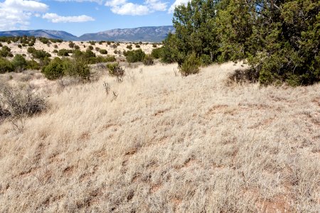 Fort Stanton
