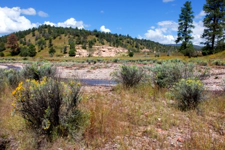 Continental Divide Trail