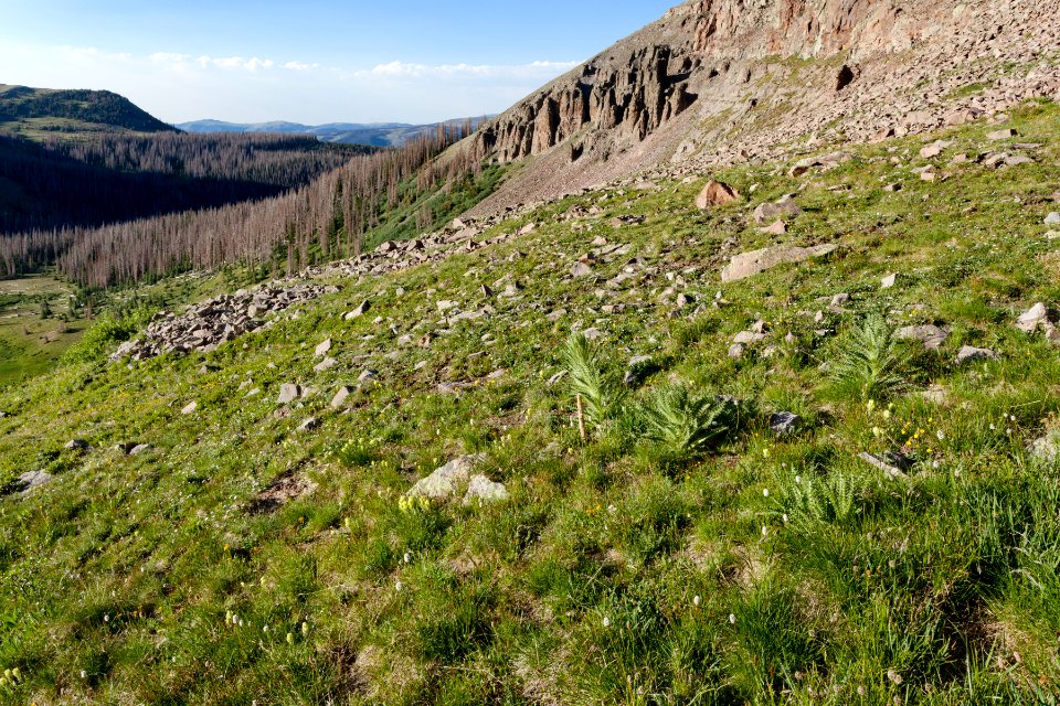 East of Conejos Peak