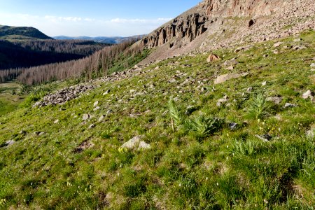 East of Conejos Peak