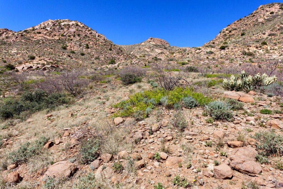 Southwestern Cookes Range