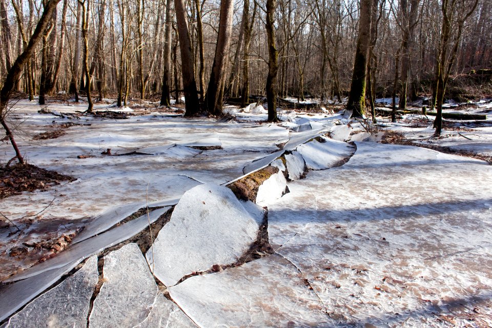 White River floodplain