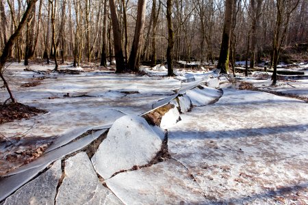 White River floodplain