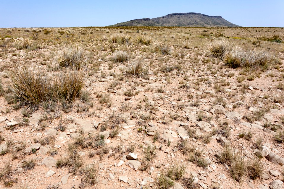 East of Alamo Mountain