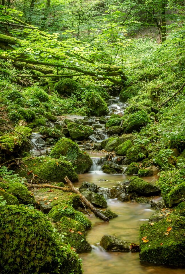 Hiking nature idyllic