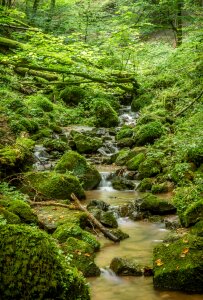 Hiking nature idyllic