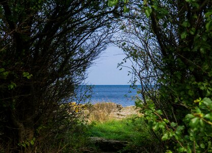 Green blue water