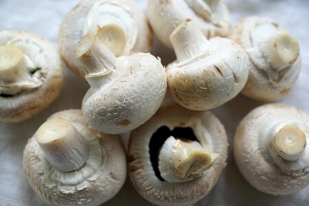 Healthy white fresh