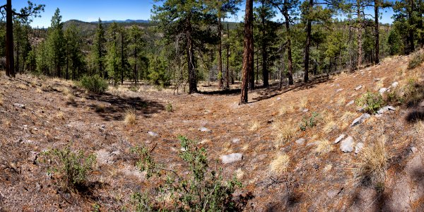 Continental Divide