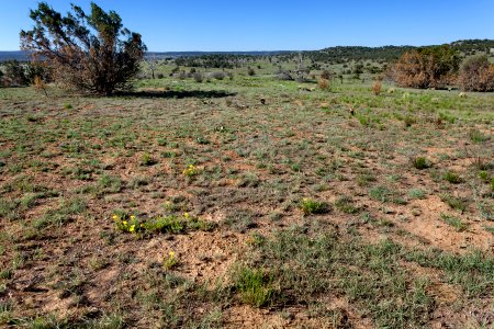 North-northeast of Ft. Stanton
