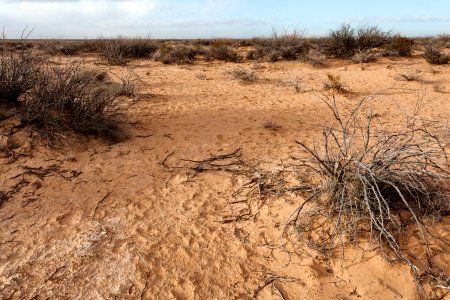Northeast of Twin Buttes
