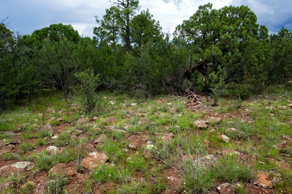 Near the Continental Divide Trail