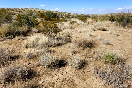 Near Mescal Canyon