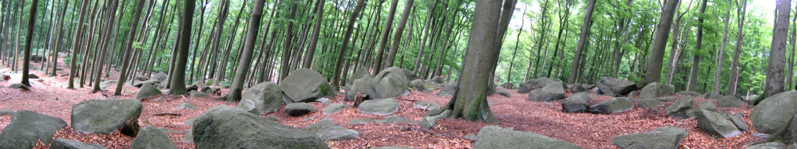 odenwald panorama